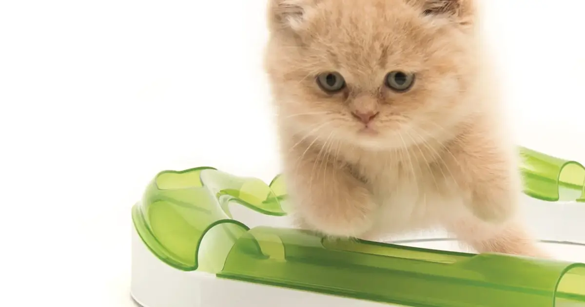 Juguete para gatos HEXBUG Nano ratón robótico